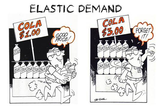 What are examples of elastic and inelastic goods?